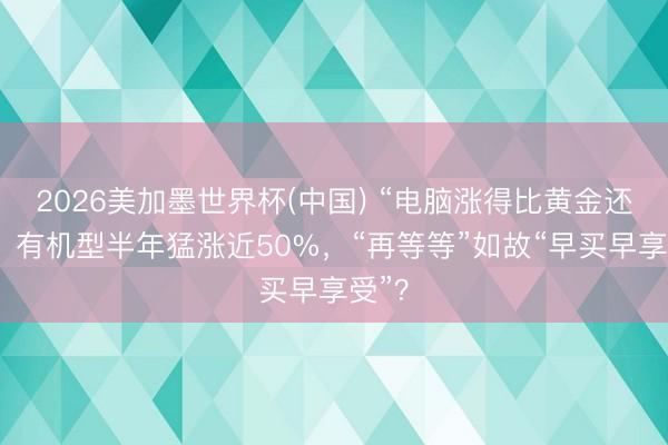 2026美加墨世界杯(中国) “电脑涨得比黄金还猛”！有机型半年猛涨近50%，“再等等”如故“早买早享受”？