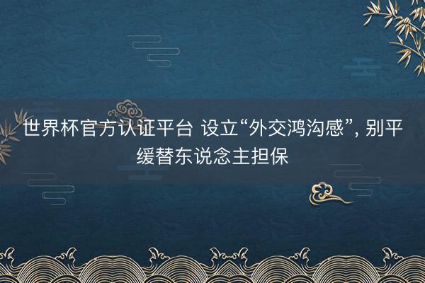 世界杯官方认证平台 设立“外交鸿沟感”， 别平缓替东说念主担保