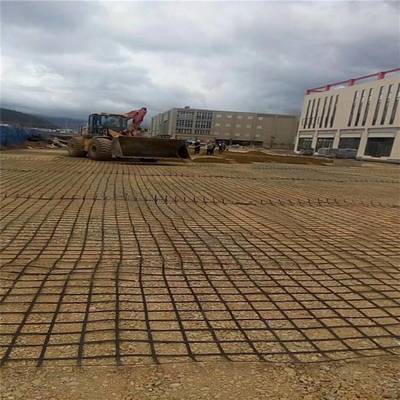 公路铁路路堤路基加固深海作业堤岸用钢塑土工格栅